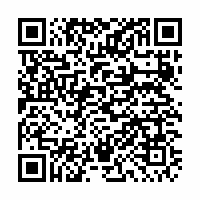 QR Code für FreiRAUM: Tobias Izsó. feuchtes holz