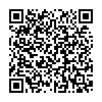 QR Code für ZWICKAU meets TEXAS