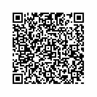 QR Code für Schätzchen aus dem Museumsdepot: Modell einer Ritterburg, um 1940