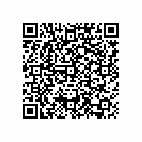 QR Code für Schätzchen aus dem Museumsdepot: Ein Bronzeschwert